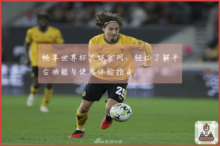 畅享世界杯买球官网，轻松了解平台功能与使用体验指南