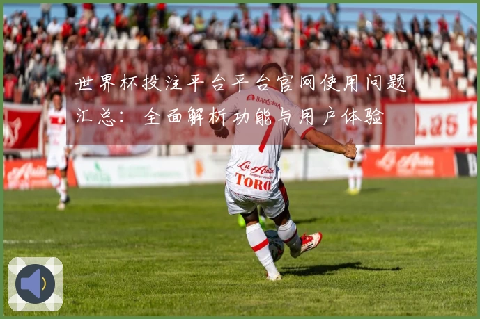世界杯投注平台平台官网使用问题汇总：全面解析功能与用户体验