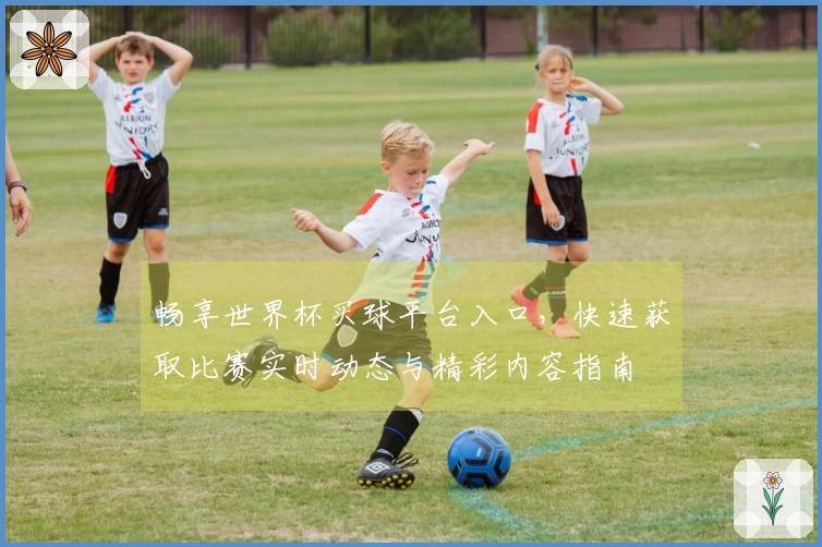 畅享世界杯买球平台入口，快速获取比赛实时动态与精彩内容指南
